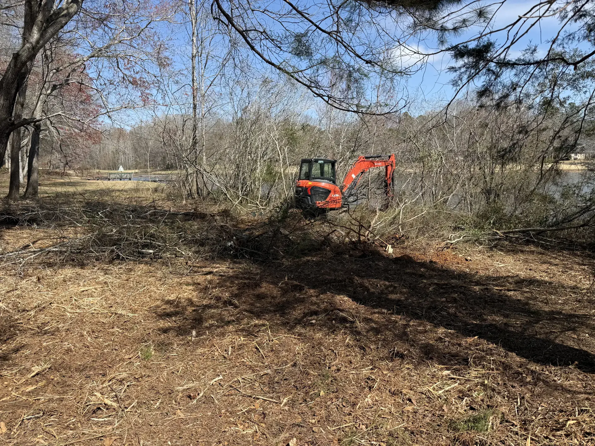 Excavator removing thick brush during property reclamation