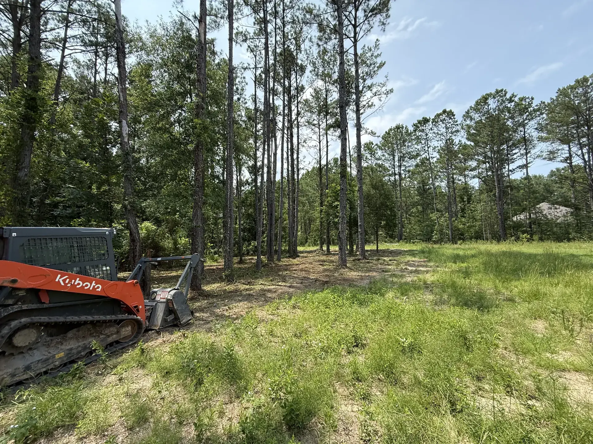 Tracked forestry mulching equipment reclaiming an overgrown property